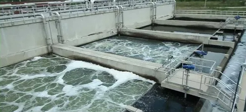 Sewage Treatment Plant (STP)